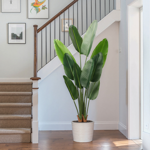 5ft Kunstmatige Paradijsvogel <span class=keywords><strong>Plant</strong></span> Met Plastic Pot Indoor Outdoor Decor Cadeau - Product Image 5