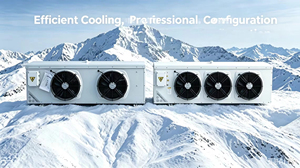 Industrial Commercial Use Air <b>Conditioner</b> Unit Air Cooler Refrigeration Equipment Air Cooler Evaporator - Product Image 6