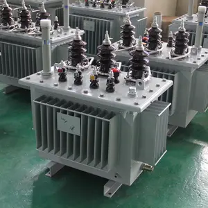 250kva 1000kva 1250kva S11 endüstriyel kullanım için uygun yüksek voltaj yağlı transformatör