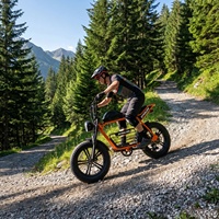 Bicicleta Eléctrica Todoterreno con Llantas Anchas y Batería Extraíble, Bicicleta Eléctrica Vintage de Doble Asiento para Senderos de Montaña y Caminos de Tierra