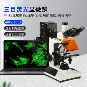 Boshi Jingda Upright Epi Fluorescence <b>Microscope</b> Bd-Yg2001 10X Wide Field 18Mm View With Industrial Camera For Cell Observation - Product Image 3