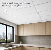 Panneau de plafond suspendu en aluminium Project Supply 300x600, grille en T, dalle de plafond métallique pour intérieurs commerciaux