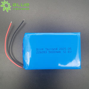 Настраиваемые новые продукты, 226093 перезаряжаемая литиевая батарея 5000mah 11,1 v 12,6 V 12V 3s Pack - Product Image 2