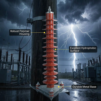 Parafoudre à oxyde d'aluminium haute tension 35 kV pour la distribution électrique extérieure HY5WZ-51/134