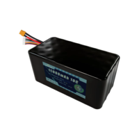 Batterie Li-ion rechargeable MASON POWER pour drone FPV 12000mAh 8S3P 29.6V 10C Connecteur XT60/90 pour modèles RC, avions et drones – Garantie 5 ans