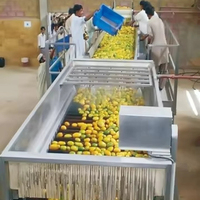 Vruchtensap Productielijn Appelsap Productielijn/Complete Mango Sap Productielijn