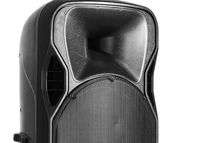 Haut-parleur PA actif professionnel à double woofer en ferrite de 15 pouces, 300 W RMS, classe D, pour l'intégration de projets audio commerciaux