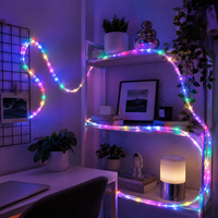 Bande LED flexible à changement de couleur RVB pour la décoration de miroir de salle de bain intérieure, compatible avec le contrôle par application OEM