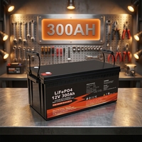 Batterie au lithium-ion phosphate 12V 300Ah, pack de batteries LiFePO4, batterie au phosphate de fer lithium, cycle profond, rechargeable, stockage d'énergie