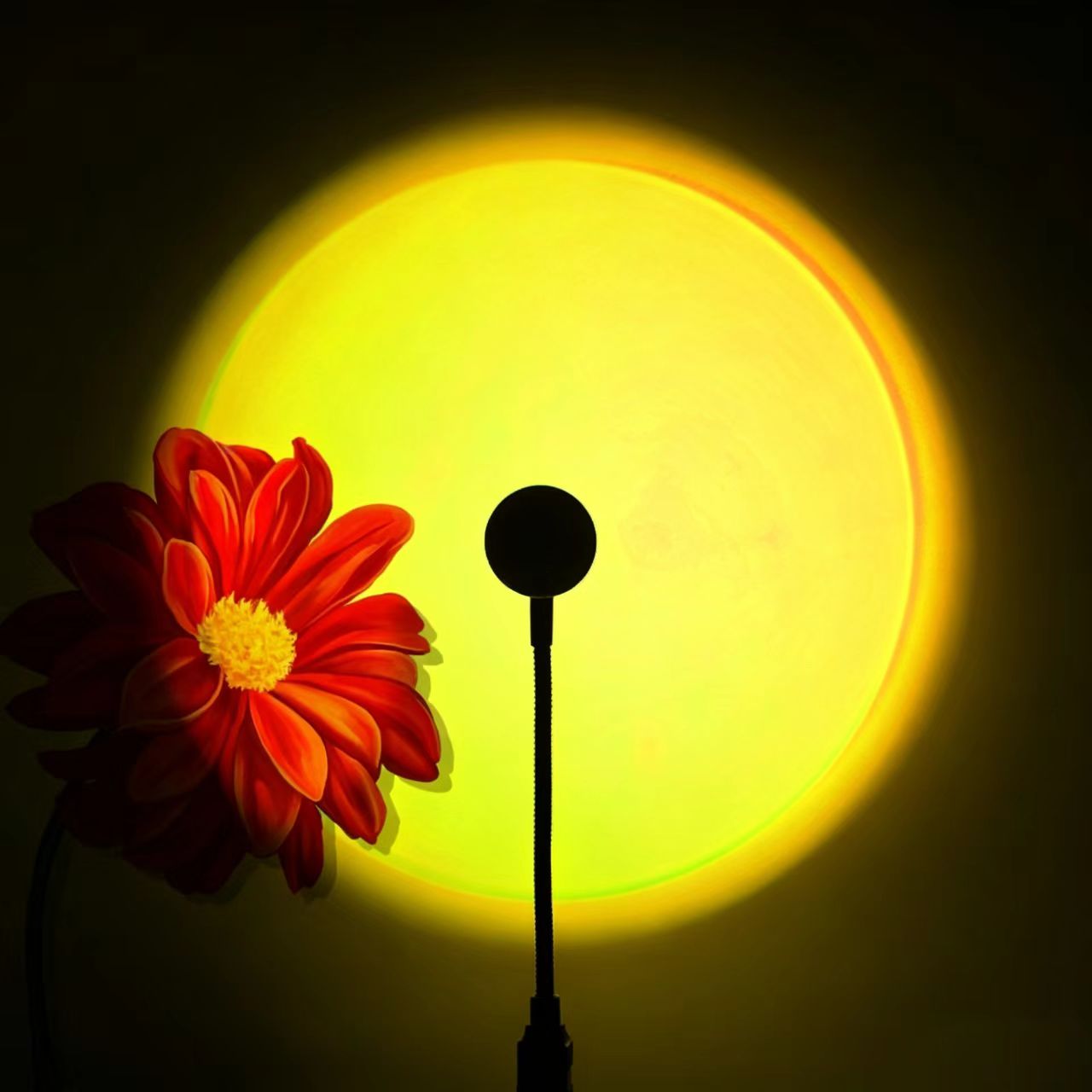 Jaune coucher de soleil