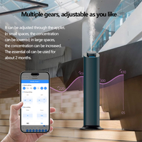 Diffuseur de purificateur d'encens personnalisé à distance intelligente automatique Diffuseur d'huile essentielle pure sans eau en vente directe en usine