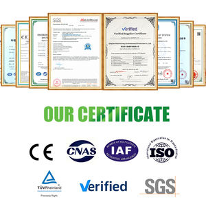 Incinérateur de déchets médicaux sans fumée à chambre secondaire avec moteur pour usage hospitalier, capacité de 50 kg par lot - Product Image 6