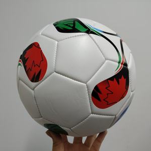 <span class=keywords><strong>Coppa</strong></span> di calcio di 2026 mondi di dimensioni 5/4/3/2/1/0 logo personalizzato PVC palloni da calcio in tutto il <span class=keywords><strong>mondo</strong></span> popolare e durevole pallone da calcio T - Product Image 2