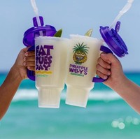 Gobelet de voyage réutilisable en plastique non toxique de 24 oz, résistant aux chocs, de qualité alimentaire, avec poignée et paille, personnalisable avec logo, pour voiture