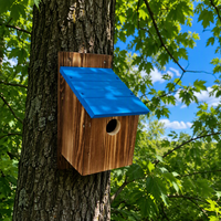 Nichoir mural en bois carbonisé écologique de différentes couleurs, résistant aux intempéries, pour oiseaux d'extérieur - Vente en gros