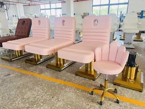 Popular Pink <b>Electric</b> Beauty Bed White and Silver <b>Electric</b> Beauty Bed - Product Image 6