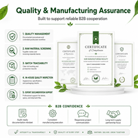 Gummies Super Greens Marque Blanche OEM ODM Formule Personnalisée Sans Sucre Complément Bien-être Fabrication en Gros Fournisseur Marques