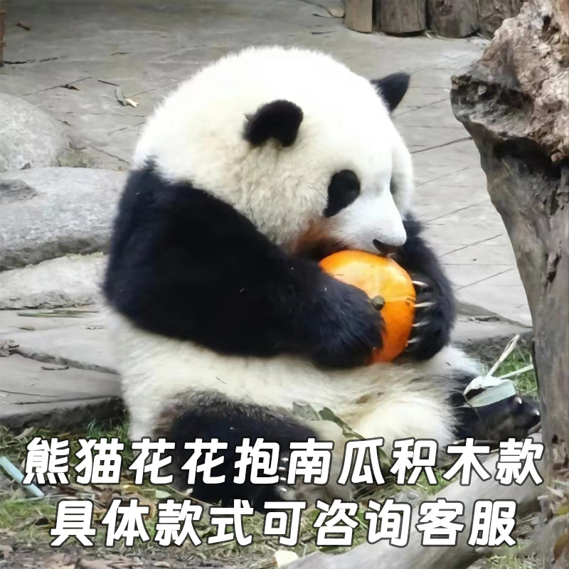 M1059 Panda Flower Embracing Pumpkin [531 Pieces] Color Box