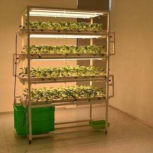 NFT Hydroponiocシステム3/4/5層、葉物野菜用3/4/6パイプ - Product Image 1