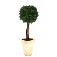 Topiaire sphérique en cyprès préservé de 42 cm de hauteur, plante artificielle réaliste en forme de cyprès, ornement décoratif pour l'intérieur et l'extérieur