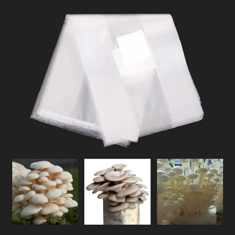 US_10x Universal Polypropylene Mushroom Growing Bag Sealable Mushroom Spawn Bags 