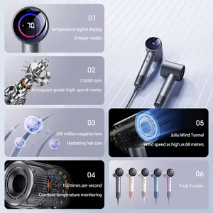 Secador de Pelo Profesional de Alta Calidad con Motor DC, Iónico, de Pared, para Viajes, Salón, Hotel y Uso en Exteriores - Product Image 4