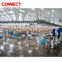 Ligne d'abattage automatique de volailles en acier inoxydable CONNECT, usine compacte de traitement de la volaille pour l'utilisation en élevage avicole