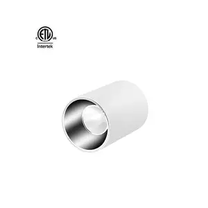 Daytonled Master B Series Round Square ETL CETL 15W 20W 30W 40W 0-10V Triac Dim Commercial Pendant Cylinder Surface Downlight