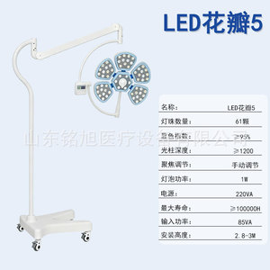 Surgical Shadowless LED Medical Examination Light 150W CE Certified For Cosmetic Surgery Dentistry Veterinary Gynecology - Product Image 3