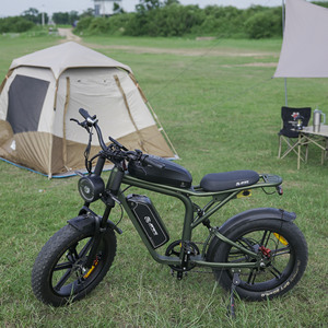 Bicicleta Eléctrica X80 de Alta Gama para Reparto de Comida en la UE, con Doble Batería de 48V37AH, Bicicleta de Montaña Eléctrica, Bicicleta Eléctrica para Adultos - Product Image 4