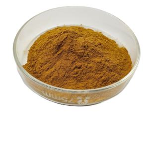 Cápsulas de extracto de hongo Reishi rojo Polisacáridos Extracto de Ganoderma Lucidum Extracto de hongo Reishi rojo - Product Image 2