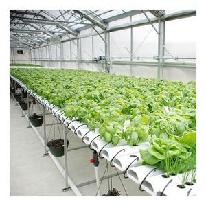 Beste verkoop verticale landbouwkas systeem NFT kweeksysteem tomaat aardbei PVC goot voor hydroponische teelt - Product Image 3