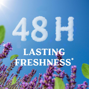 Desodorante Roll-On de 50 ml a Precio de Fábrica - 5 Fragancias Naturales Antitranspirantes para Venta al por Mayor Global, Desodorante Roll-On Unisex - Product Image 2