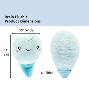 U984 mainan boneka Organ mewah otak lembut mudah diemong hadiah Neuroscience untuk pendidikan kesehatan ahli bedah otak mainan mewah - Product Image 2
