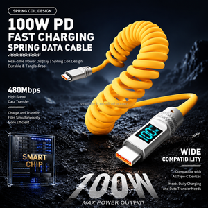 Câble de données USB-C vers Type-C à charge rapide PD 100W, rétractable à ressort, avec affichage numérique LED et transfert de données pour <span class=keywords><strong>iPhone</strong></span>/tablette/voiture - Product Image 1