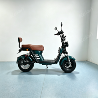 Vélo Électrique X21 Citycoco 1000W à Pneus Larges, Scooter Électrique 60V avec Batterie au Lithium, Vente en Gros Usine pour le Brésil