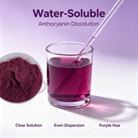Hete Aanbieding Natuurlijk Vaccinium Myrtillus Fruitextract 10:1 80 Mesh Wateroplosbaar Bosbessenpoeder voor Formuleverwerking