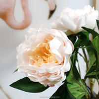 Bunga Peony Sutra Buatan Tangan Berkualitas Tinggi Ramah Lingkungan Tahan Lama Satu Tangkai dengan Sentuhan Melembapkan Seperti Asli