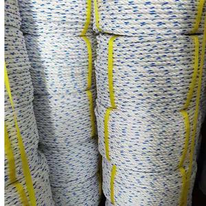 फैक्टरी पीपी पॉली डानलाइन रस्सी 8 मिमी समुद्री पॉलीप्रोपाइलीन रोप्स 32 मिमी 40 मिमी कोइल पॉलीप्रोपाइलीन मोनोफिलामेंट फाइबर मोड़ फ्लोटिंग रस्सी - Product Image 2