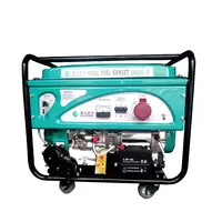 Double Fuel Gasoline Electric Generator for Home