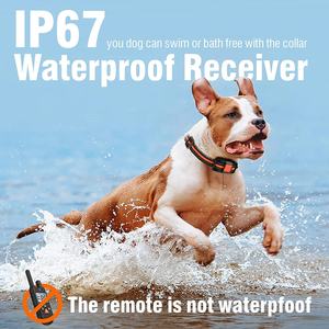 Collar de Adiestramiento <span class=keywords><strong>para</strong></span> <span class=keywords><strong>Perros</strong></span> P30 Control Two Dogs, Recargable, con Control Remoto, <span class=keywords><strong>para</strong></span> Interiores/Exteriores, Apto <span class=keywords><strong>para</strong></span> <span class=keywords><strong>Perros</strong></span> de Todos los Tamaños, Diseño Ecológico - Product Image 2