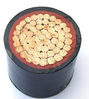 Câble LV monoconducteur en cuivre massif avec gaine XLPE LSZH 0,6/1KV 70/95/120/150/185mm – Prix direct usine pour applications industrielles et bâtiment