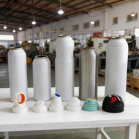 Layanan OEM Kaleng Aerosol Aluminium Kosong 100ml-500ml Tutup Ulir untuk Produk Kimia & Perawatan Pribadi