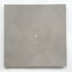 Carreaux Sol 60x60 Gris Clair Piso Porcelanato baldosas de 60x60 fabrica - Product Image 3