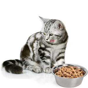 Comedero para Mascotas de Acero Inoxidable, Ecológico, Antideslizante, Fácil de Limpiar, para Perros Grandes, Varios Tamaños para Venta al por Mayor - Product Image 6