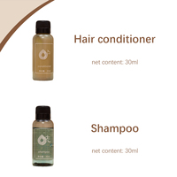 Ensemble de produits de toilette haut de gamme pour hôtel et spa, 30 ml, shampoing, après-shampoing et gel douche jetables avec parfum envoûtant