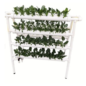 Sistema de Cultivo Vertical Hidropónico Interior para Vegetales en Venta - Product Image 2