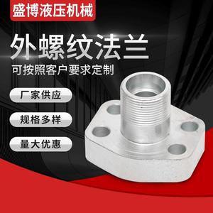 หน้าแปลนเกลียวภายนอก Sheng Bo สแตนเลสสตีล ผลิตด้วยเครื่อง CNC ปรับแต่งได้สำหรับระบบไฮดรอลิก - Product Image 1