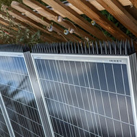 Produit phare : Boîte de 20 épingles anti-oiseaux solides et écologiques pour extérieur et ferme, répulsives contre les pigeons, chats, rongeurs, fourmis, en plastique, pour plantes