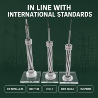 Kabel Udara-Tanah OPGW untuk Proyek Pembumian Gardu Induk Jaringan Listrik Vietnam dan Komunikasi Data Utilitas